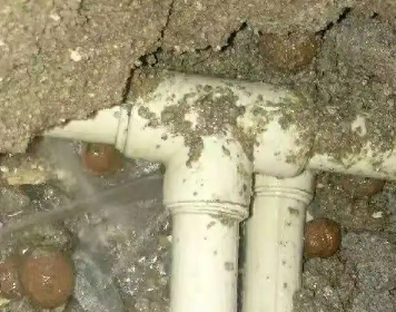 洋县测漏水多少钱