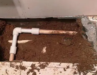 洋县测漏水哪家好