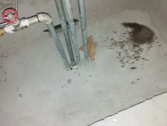 洋县卫生间测漏水价格明细