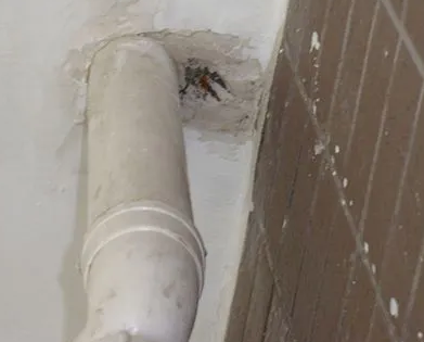 洋县漏水检测哪家好